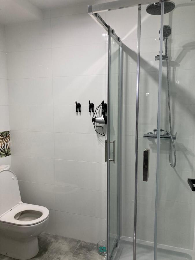 Apartament Swobodna No.2 Сосновець Екстер'єр фото